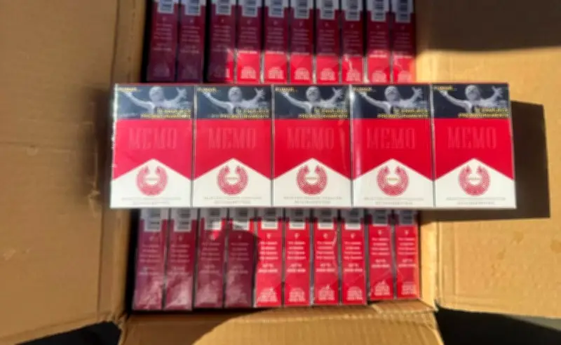 Especialistas alertan: mercado ilegal de tabaco podría costar 35 mil mdp al erario