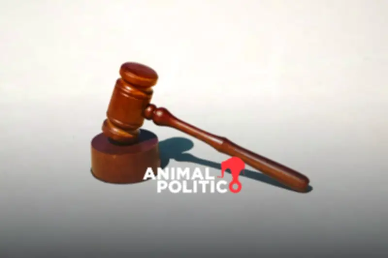 Especialistas Rechazan la Propuesta de Jueces Sin Rostro en el Senado