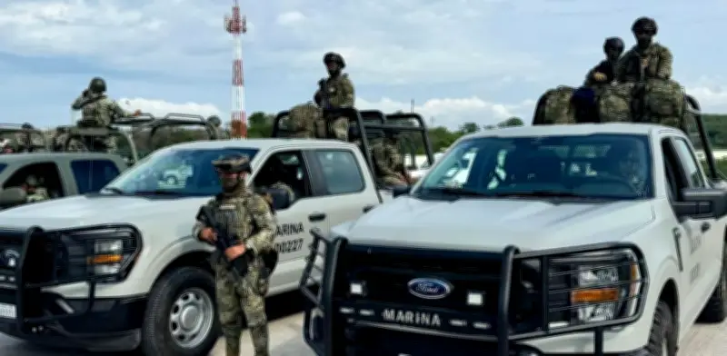 Estrategia 'Pez Vela 2025' revela graves fallas en seguridad de Colima bajo gobierno de Vizcaíno