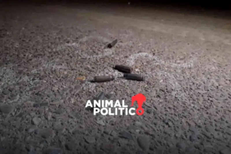 Estudiante de Bachilleres y Chofer Muertos en Ataque Armado en Acapulco