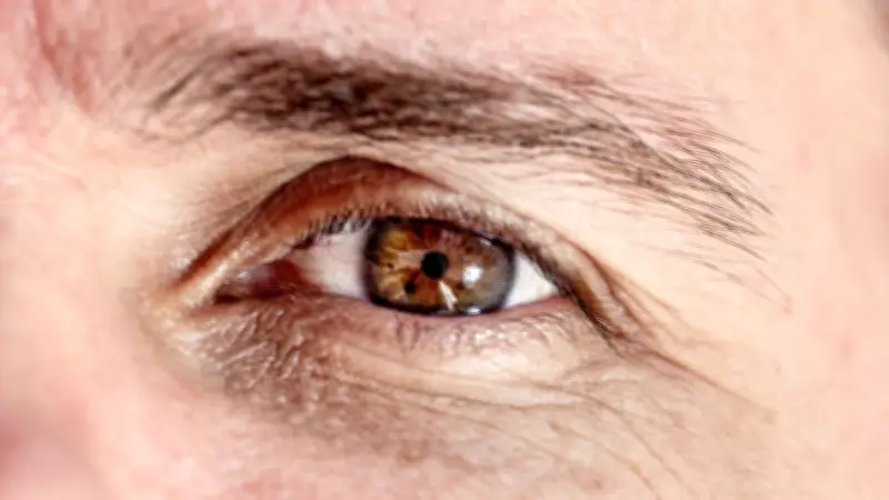 Estudio revela que químicos eternos aceleran el envejecimiento en hombres de mediana edad