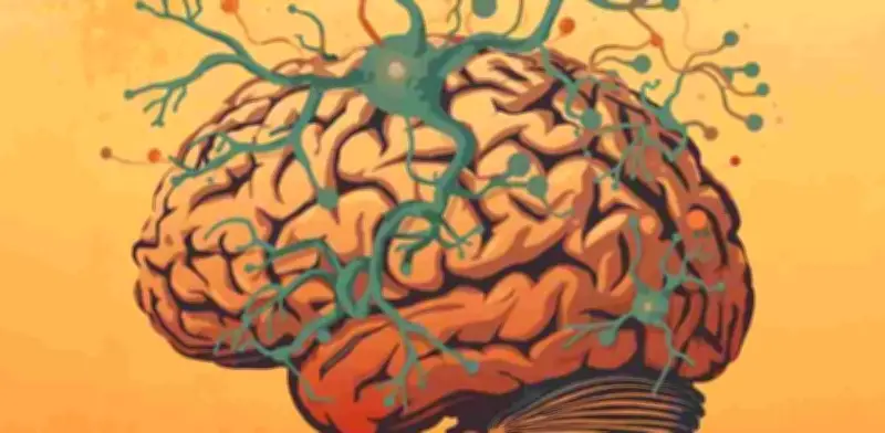 Estudio vincula trastornos de ansiedad con bajos niveles de colina en el cerebro