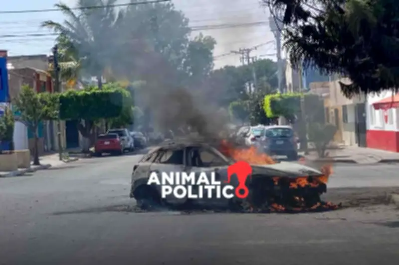 EU y Canadá emiten alertas de viaje para México tras muerte de 'El Mencho' y aumento de violencia