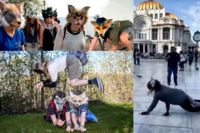 Explorando el fenómeno Therian: Identidad, comunidad y desafíos en México