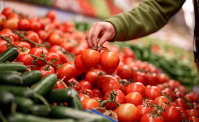 Exportaciones agroalimentarias de México caen 5.4% en 2025 por medidas de EE.UU.