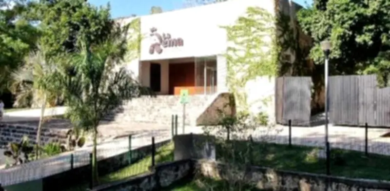 Fallece león por golpe de calor en zoológico de Tizimín; acusan negligencia y maltrato