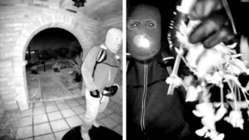 FBI difunde video clave en desaparición de Nancy Guthrie, madre de presentadora de NBC