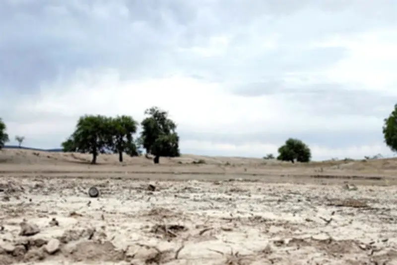 Febrero de 2024 se perfila como el mes más seco en México en décadas