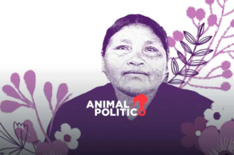 FGR Atrae Caso de Ernestina Ascencio por Violación y Muerte por Ejército ante Corte IDH