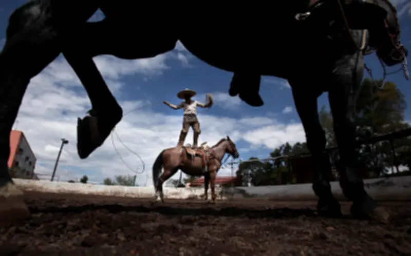 Fiesta Internacional del Caballo y Charrería en Tlajomulco: Tradición y Espectáculo