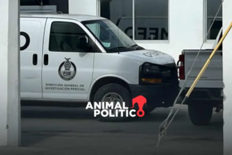 Fiscalía de Sinaloa exhuma cuerpos de fosa clandestina en Concordia