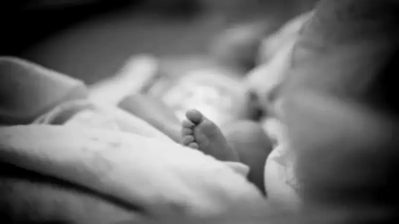 Francia y EE.UU. enfrentan crisis de natalidad con estrategias opuestas