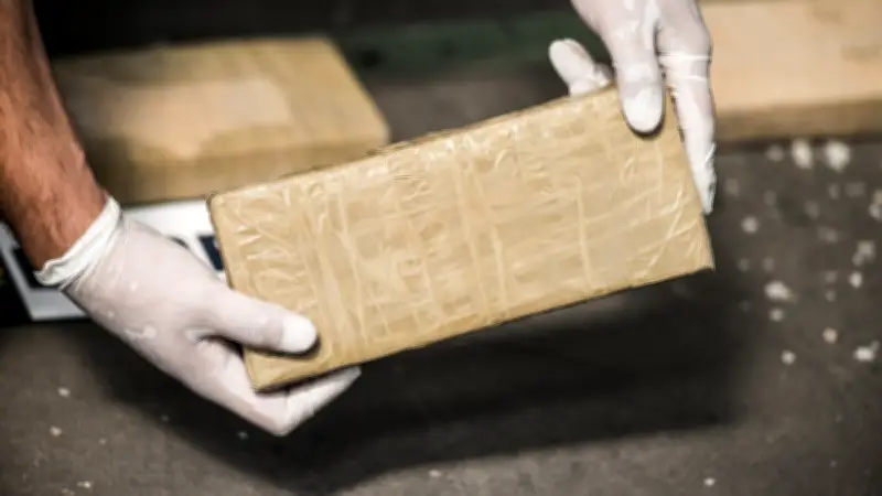 Francia y EU decomisan 2.4 toneladas de cocaína en Polinesia en operación conjunta