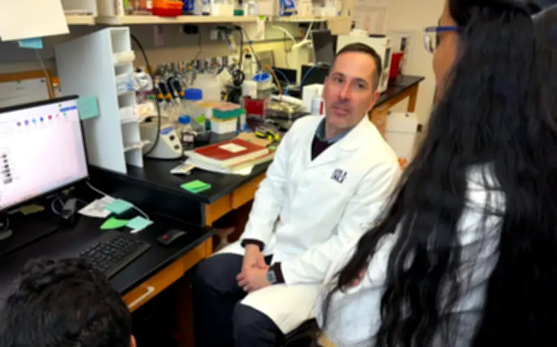 Fármaco anticonvulsivo levetiracetam podría prevenir placas del Alzheimer, según estudio