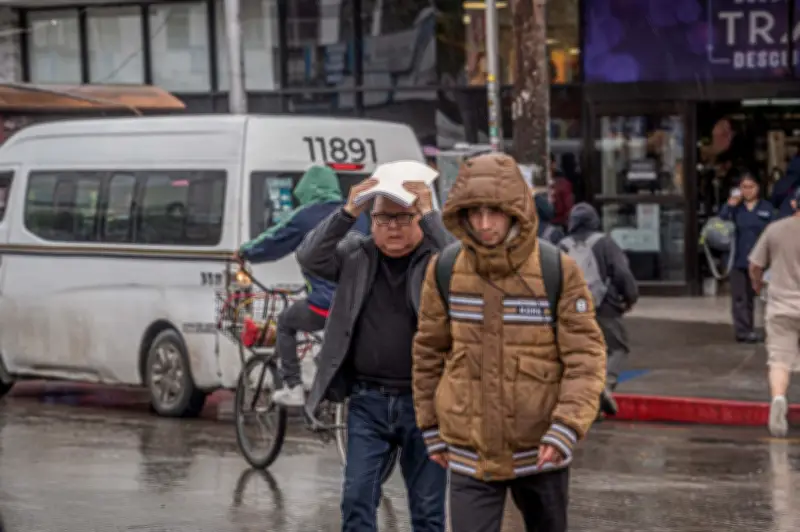 Frío extremo y heladas afectarán a más de 20 estados este martes en México