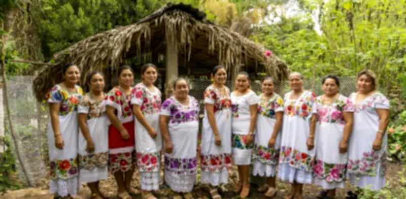 FUNDACIÓN ADO impulsa justicia social con liderazgo femenino y alianzas comunitarias