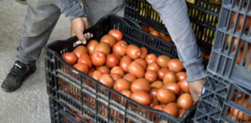 Fundación Walmart México impulsa competitividad de pequeños agricultores con programa integral