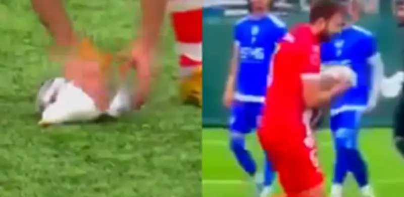 Futbolista turco aplica RCP a gaviota golpeada por balón en partido amateur