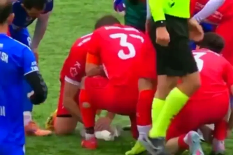 Futbolista turco reanima a una gaviota tras golpearla con un balón en partido