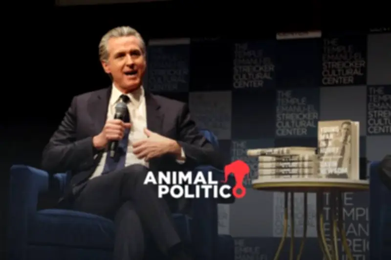 Gavin Newsom de California se posiciona como alternativa demócrata ante posible regreso de Trump