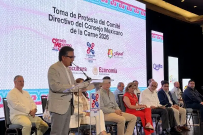 Gobierno analiza restricciones a importación de pollo para proteger producción nacional