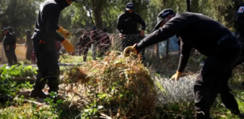 Gobierno capitalino recupera suelo chinampero en Xochimilco tras operativo contra urbanización irregular