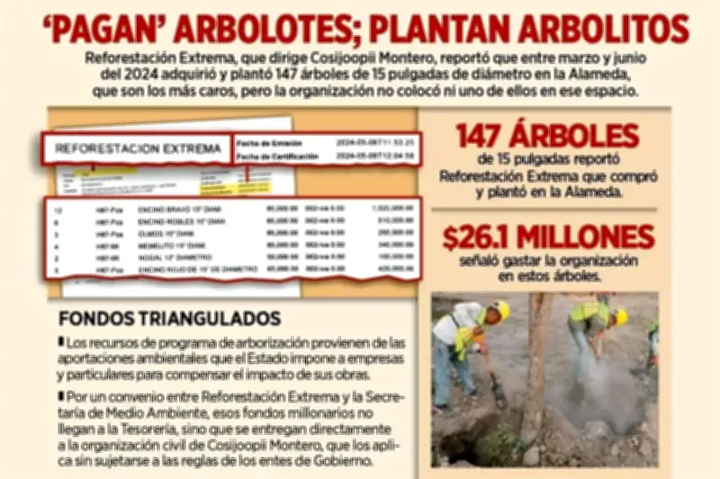 Gobierno gasta 26 millones en árboles inexistentes en proyecto fallido