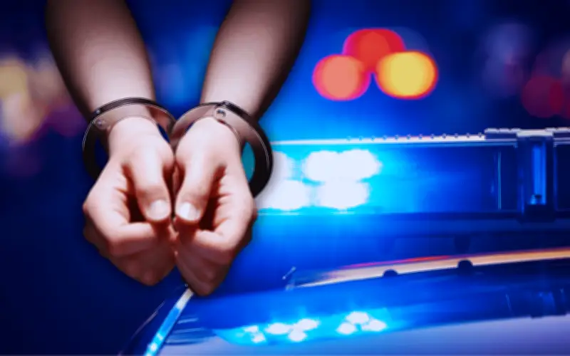 Golpe al CJNG en Veracruz: 14 detenidos y liberan a víctima de secuestro