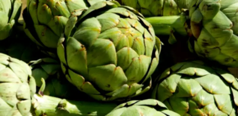 Guía Completa: Cómo Lavar y Pelar Alcachofas para Evitar la Oxidación