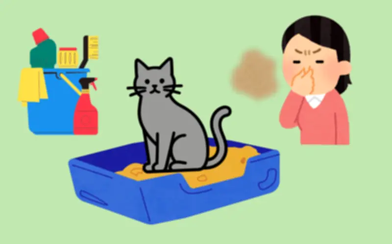 Guía esencial: Cómo limpiar el arenero de tu gato para eliminar malos olores