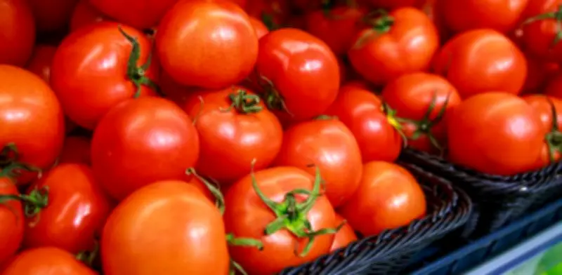 Guía esencial para conservar jitomates frescos y sabrosos por más tiempo