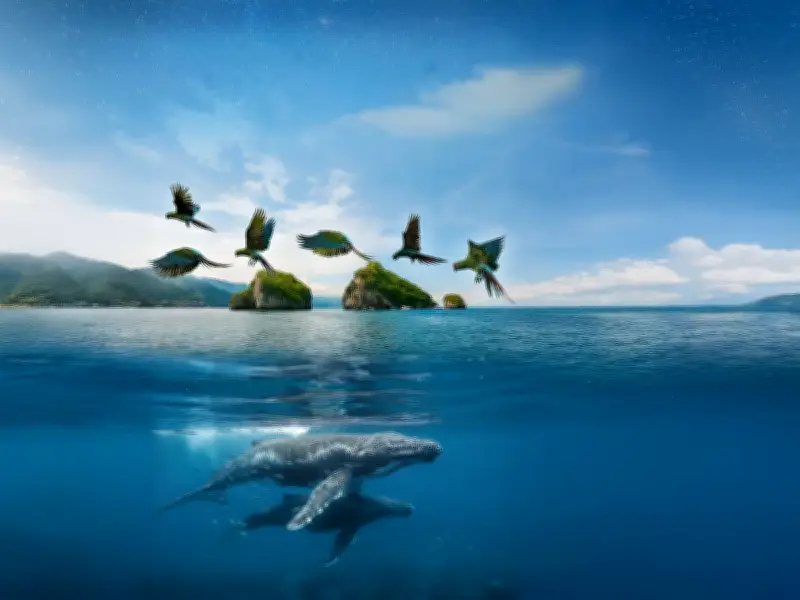 Guadalajara: Cuna de cineastas como Del Toro y creadoras documentales como Mati Covarrubias