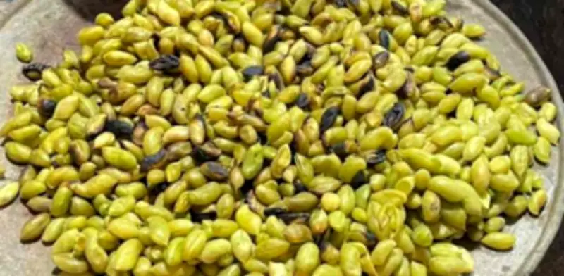 Guasanas: El garbanzo fresco, una botana tradicional de temporada en México