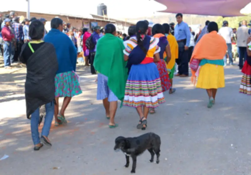 Guerrero: del etnocidio lingüístico a la lucha por preservar las cuatro lenguas originarias