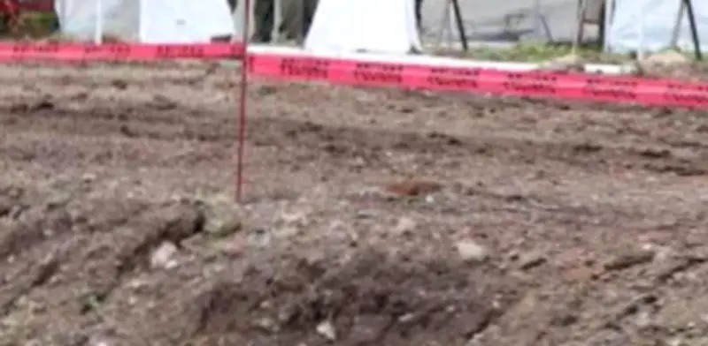 Hallan 14 cuerpos en fosas clandestinas de Sinaloa; autoridades buscan más víctimas