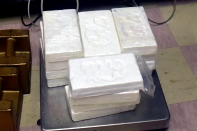 Hallan 16 kilos de cocaína en tráiler en aduana de Brownsville, Texas