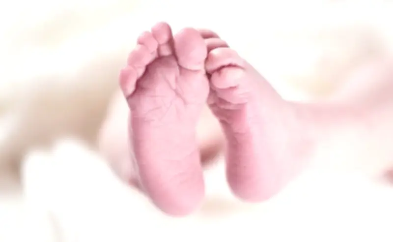 Hallan bebé de ocho meses muerta en bolsa con sangre en Guadalajara; mujer callejera la encontró