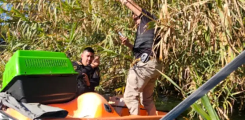 Hallan Cocodrilo en Lago del Parque Tezozomoc de Azcapotzalco