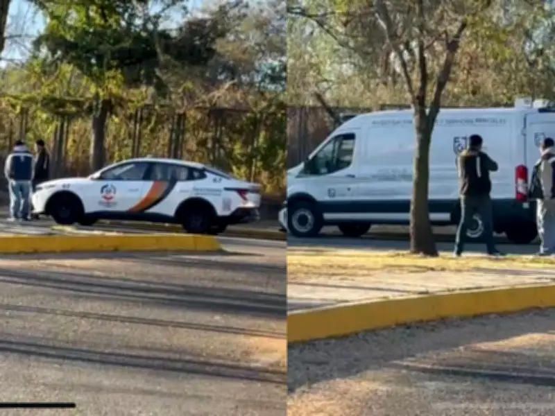 Hallan cuerpo sin vida en Ciudad Universitaria; Fiscalía capitalina realiza peritajes