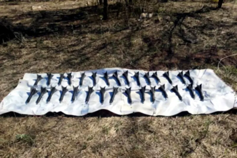 Hallan Explosivos en Concordia Durante Búsqueda de Mineros Desaparecidos