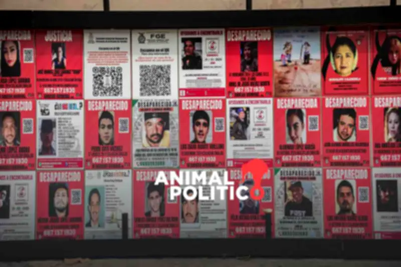 Hallan Fosas Clandestinas en Sinaloa Tras Desaparición de Mineros en Concordia