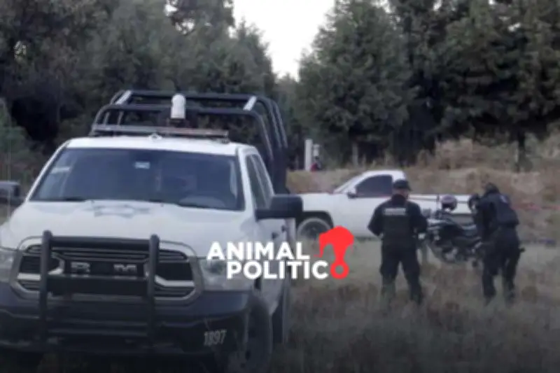 Hallan seis cuerpos con impactos de bala en Huehuetlán Grande, Puebla