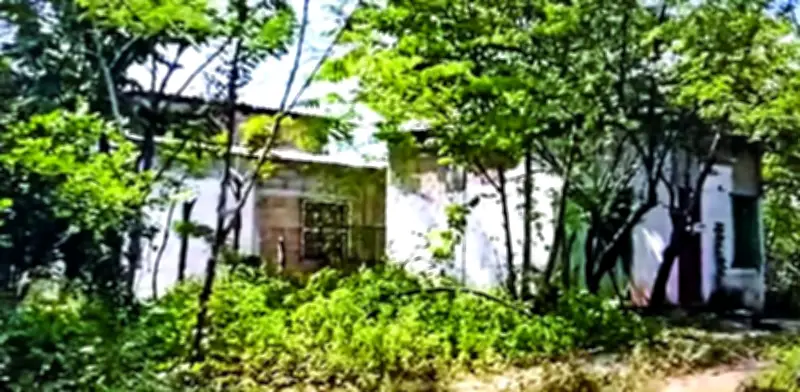 Hallan siete cuerpos en fosa clandestina de Veracruz; temen más víctimas