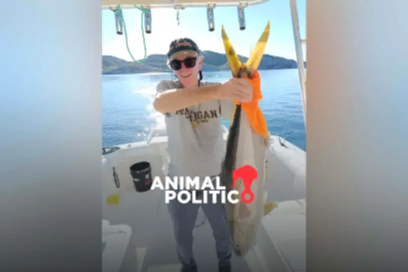 Hallan sin vida a ciudadano estadounidense desaparecido en Sonora; investigan causas