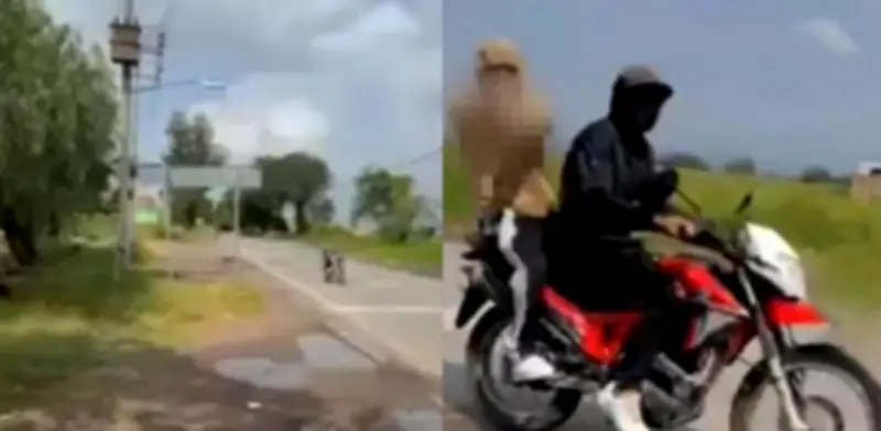 Heladero 'Don Nico' baleado en vivo al denunciar baches en Salvatierra