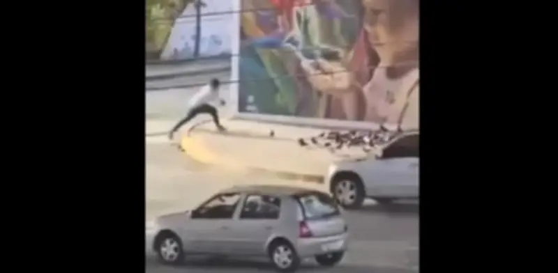 Hombre captura palomas ilegalmente en glorieta de Acapulco; vecinos exigen acción