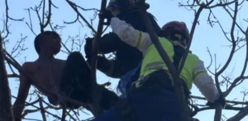 Hombre desnudo trepa poste en Coyoacán y es rescatado tras intensa operación de emergencia