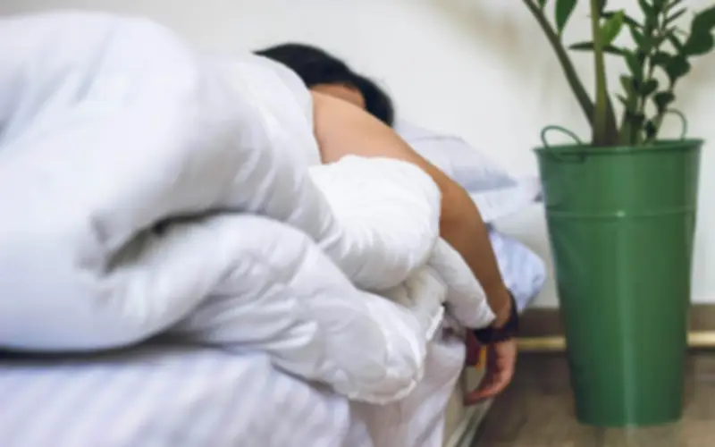 Identifican las 3 vitaminas esenciales para un sueño reparador y saludable