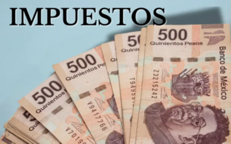 Impuestos 'Absurdos' en la Historia de México: De Puertas a Perros