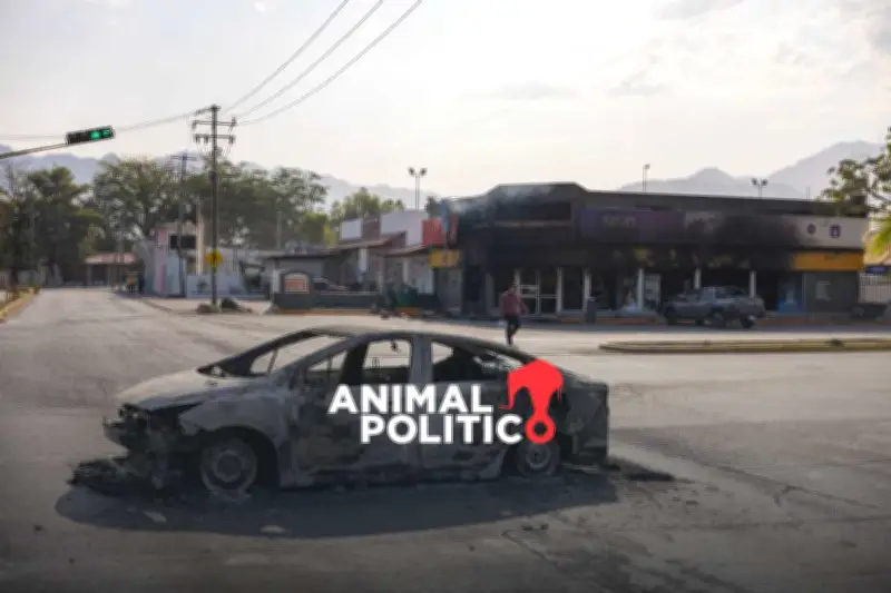 Imputan a 13 detenidos por incendios en establecimientos durante operativo contra 'El Mencho'